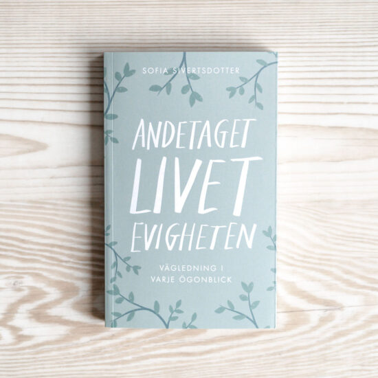 Andetaget, livet, evigheten