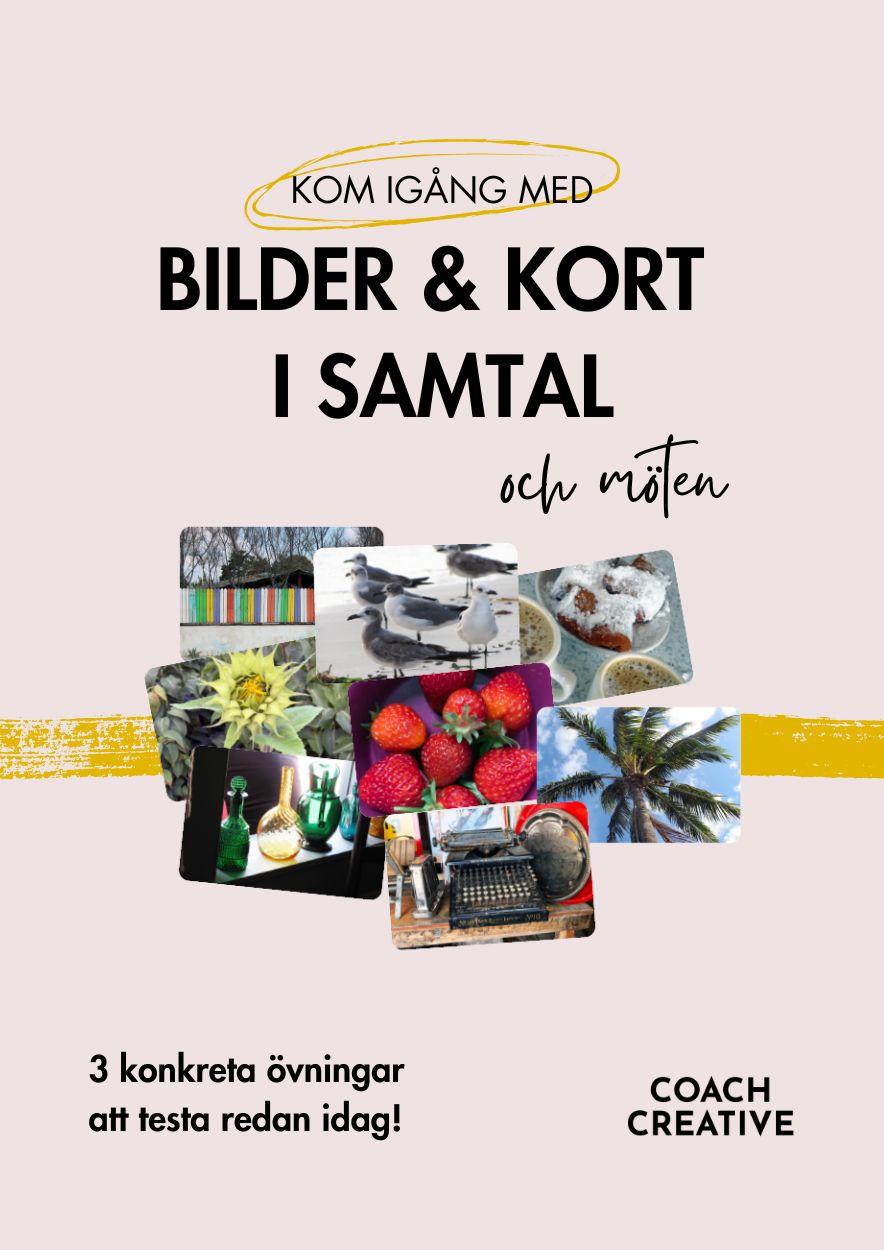 omslag_kortguide